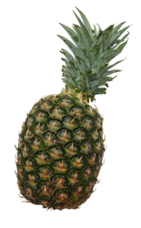 pineapple