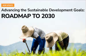 Advancing the Sustainable Development Goals: A Roadmap to 2030 | The ...