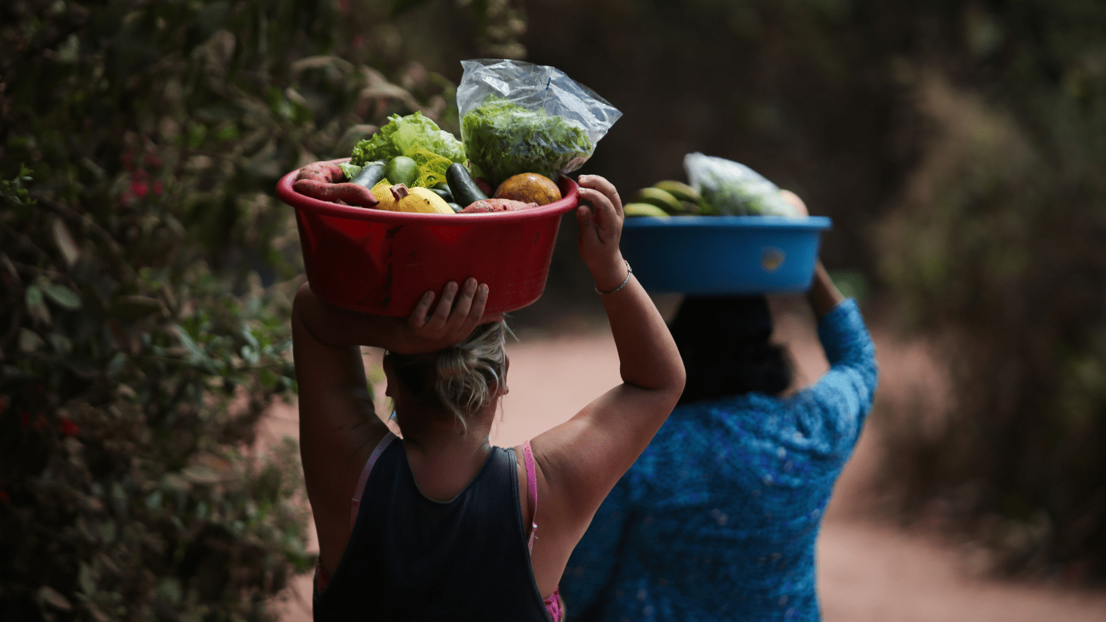 Sistemas alimentares seguros e sustentáveis em época de mudanças