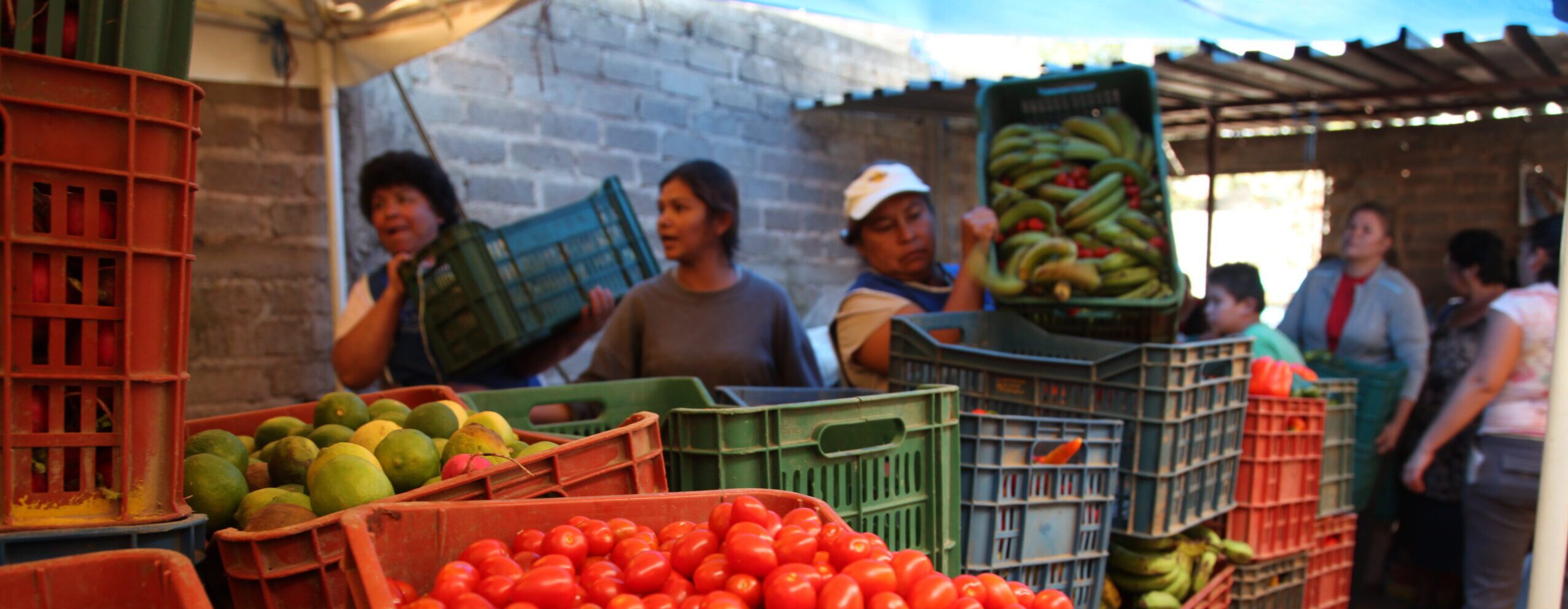 Mexico food banks