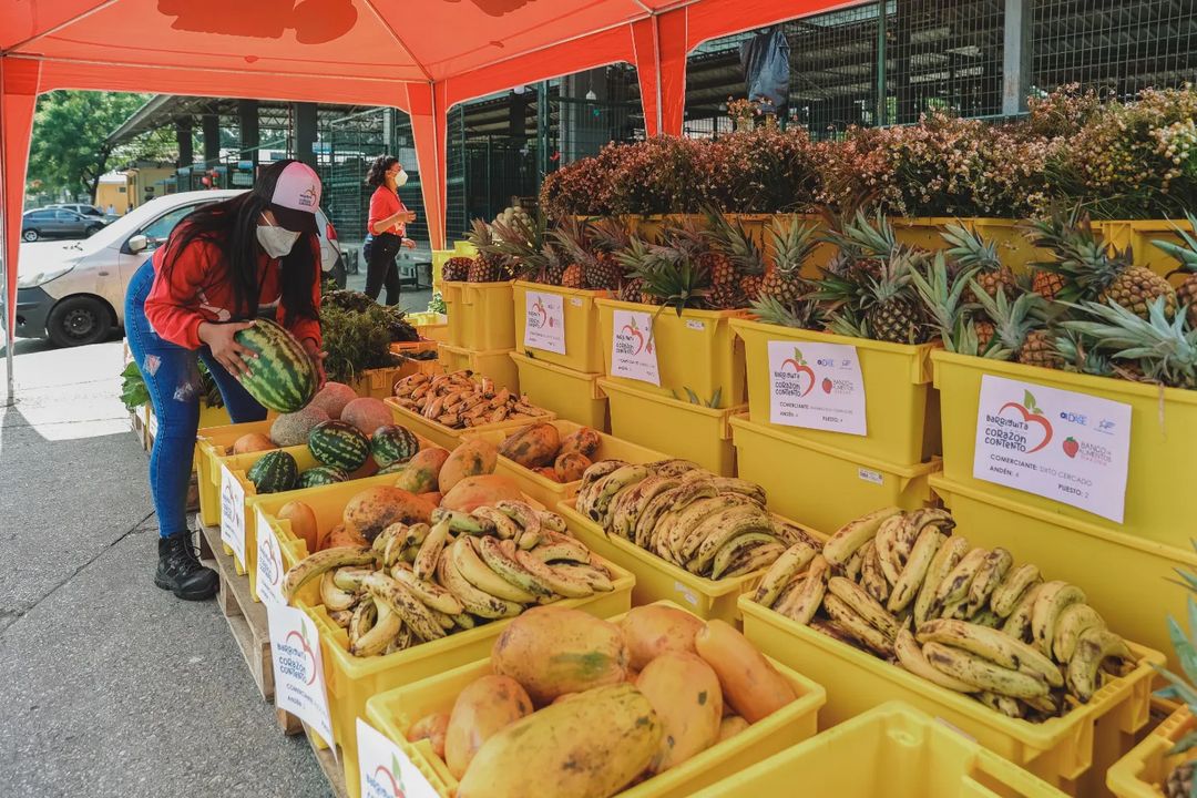 Ecuador food banks