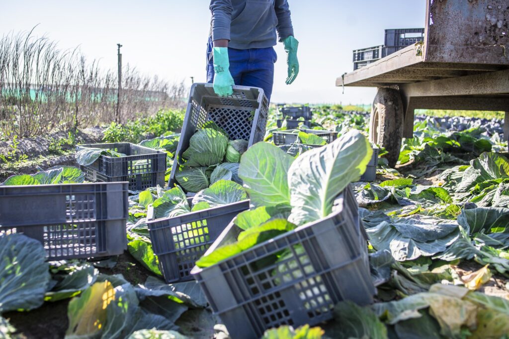 At COP28 Reducing Methane Emissions From Food Waste Is Essential To Achieving Global Climate At COP28 Reducing Methane Emissions From Food Waste Is Essential To Achieving Global Climate