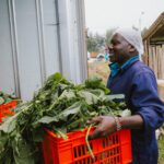 Food Banking Kenya worker unloading fresh vegetables from a refrigerated truck in Kamae, Kenya.
