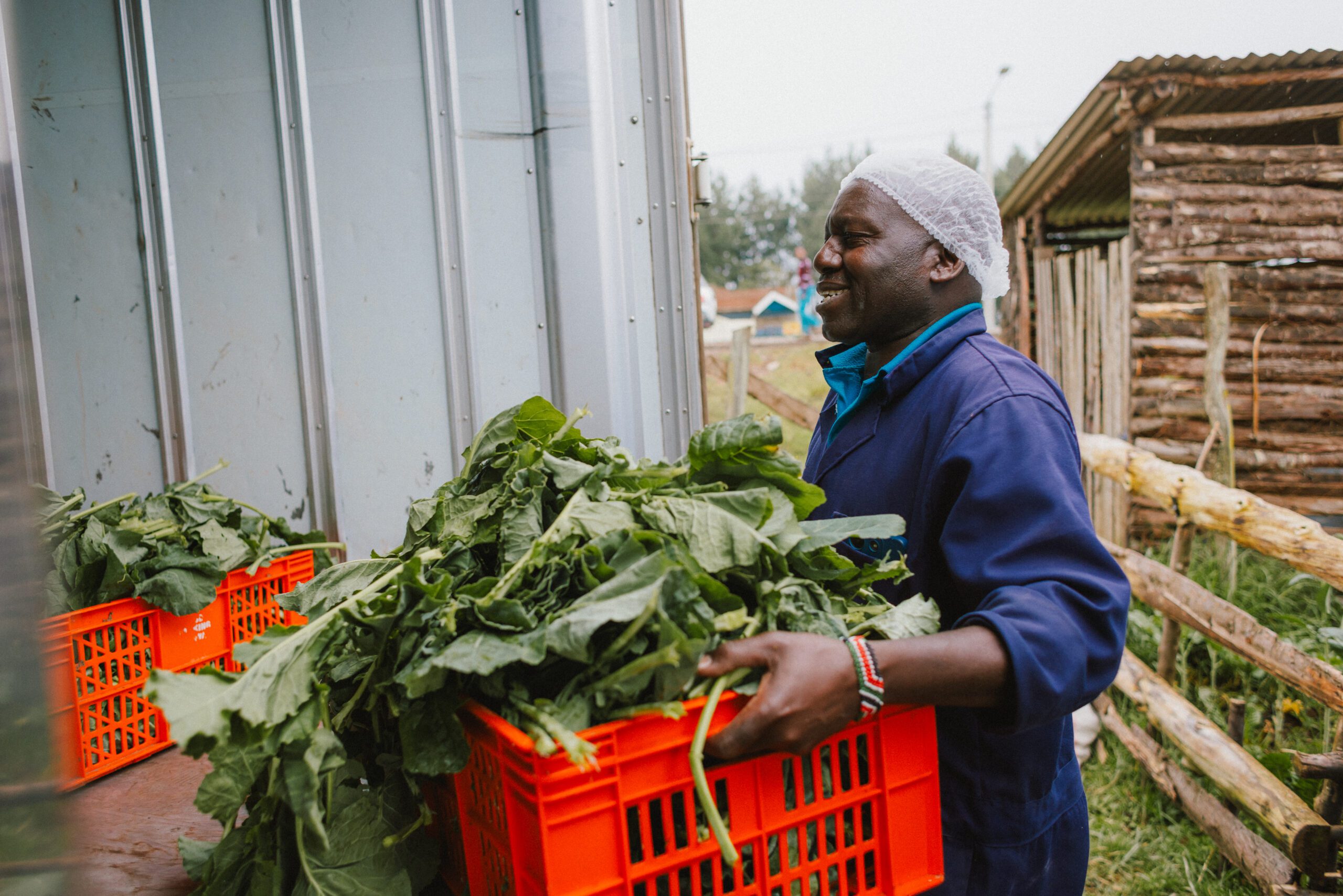 Food Banking Kenya worker unloading fresh vegetables from a refrigerated truck in Kamae, Kenya.