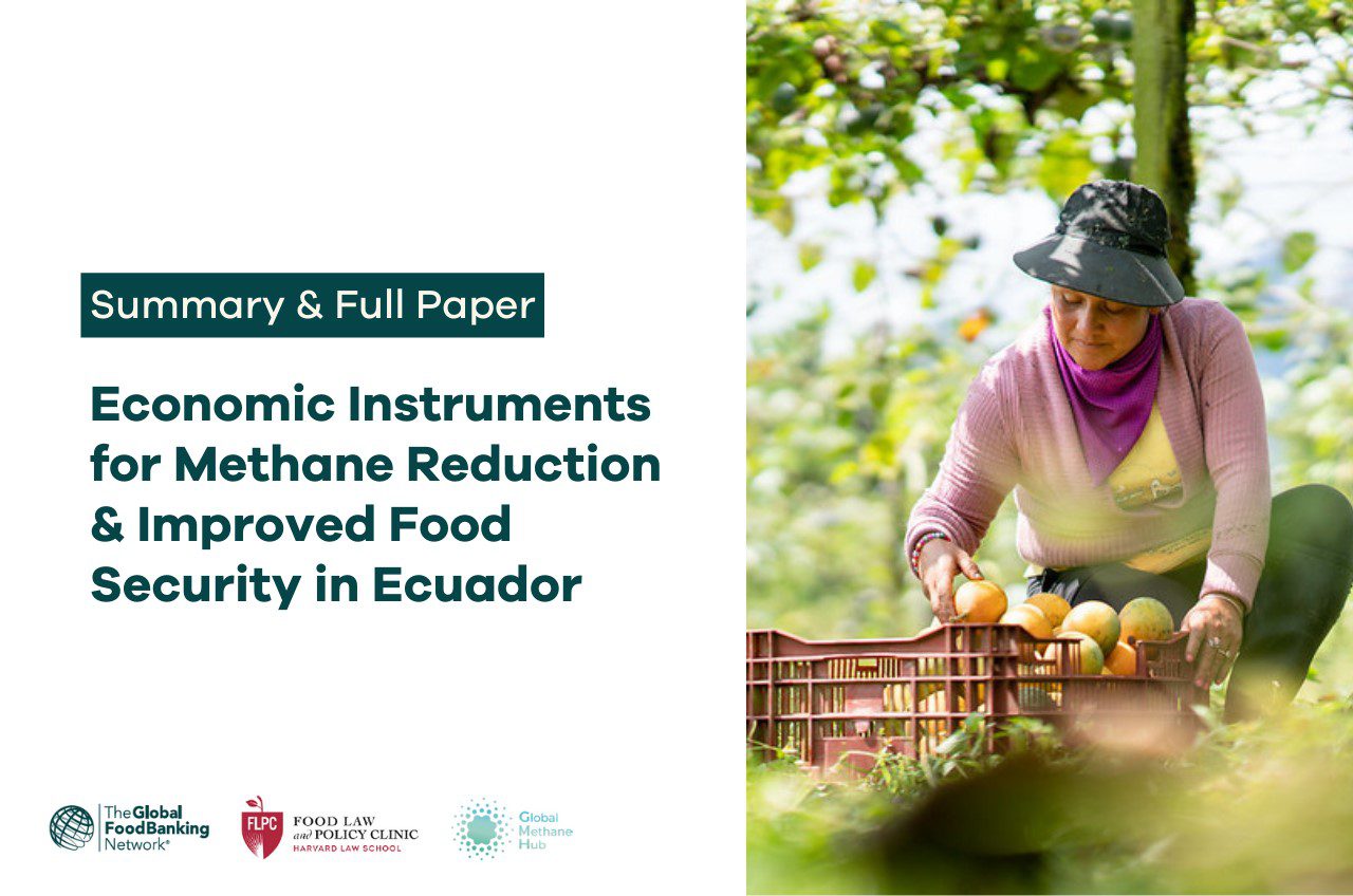 Economic Instruments for Methane Reduction in Ecuador